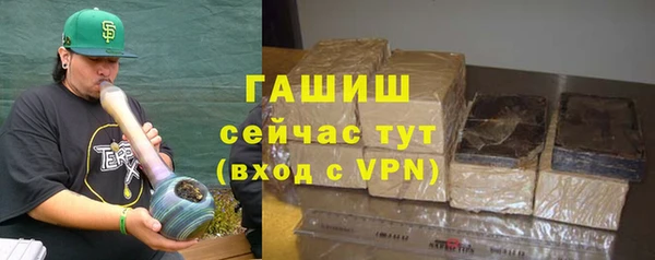 индика Аркадак