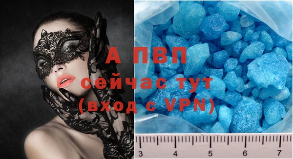 индика Аркадак