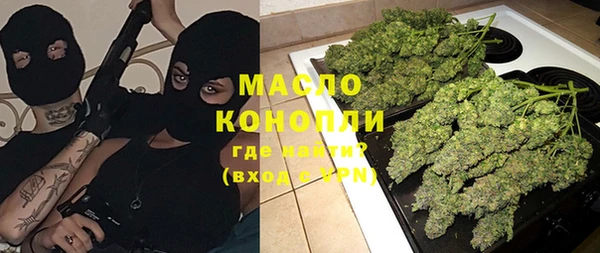 индика Аркадак