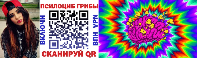 наркота Ладушкин MEGA Псилоцибиновые грибы Psilocybe